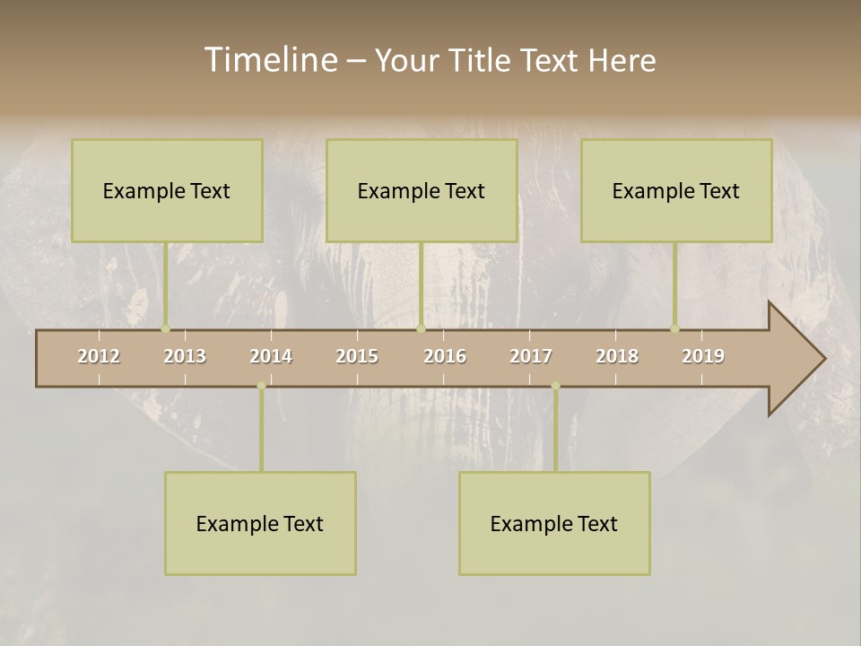 Wise Animal Nature PowerPoint Template
