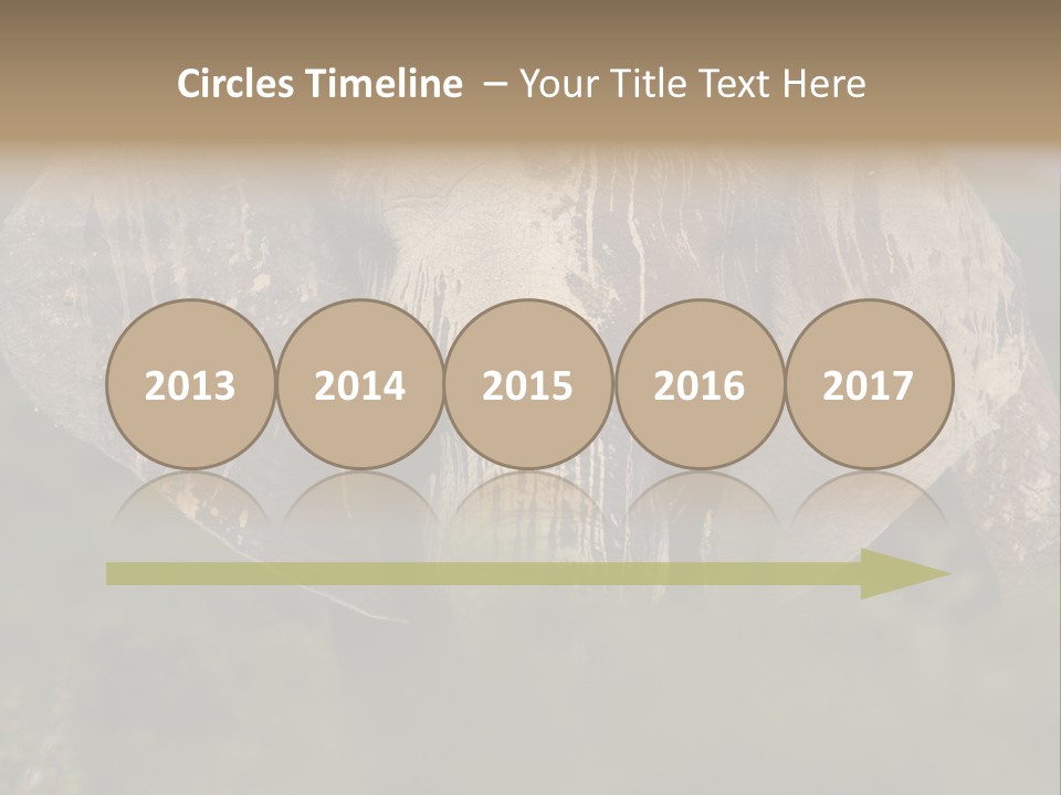 Wise Animal Nature PowerPoint Template