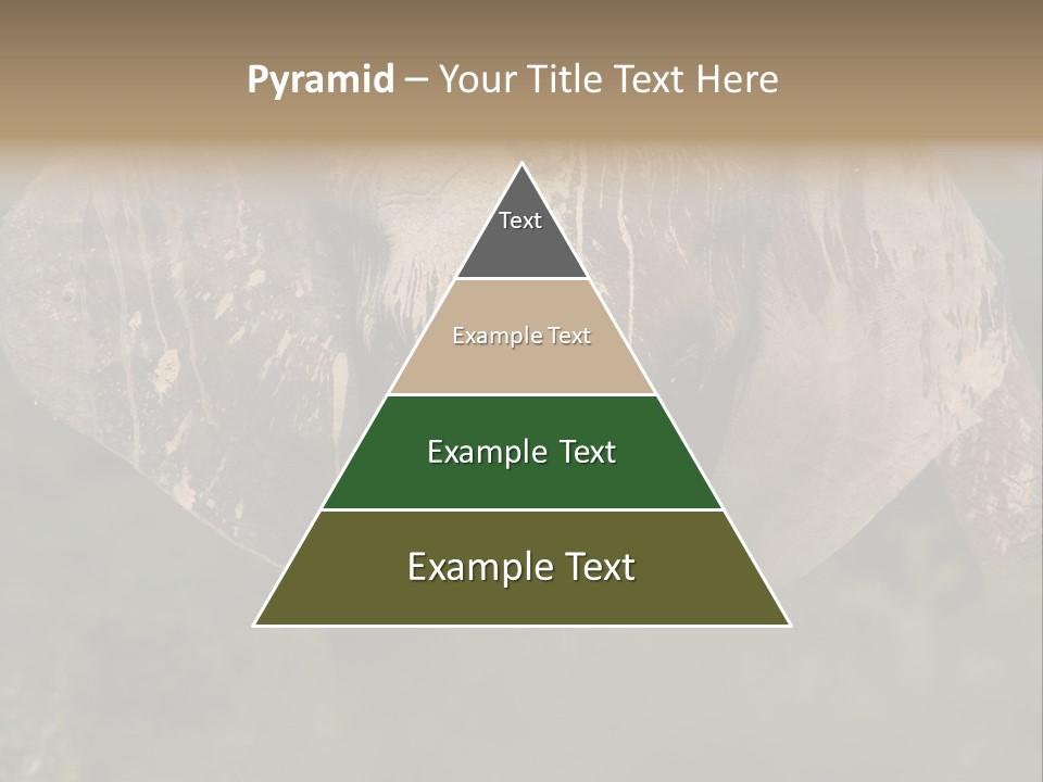 Wise Animal Nature PowerPoint Template