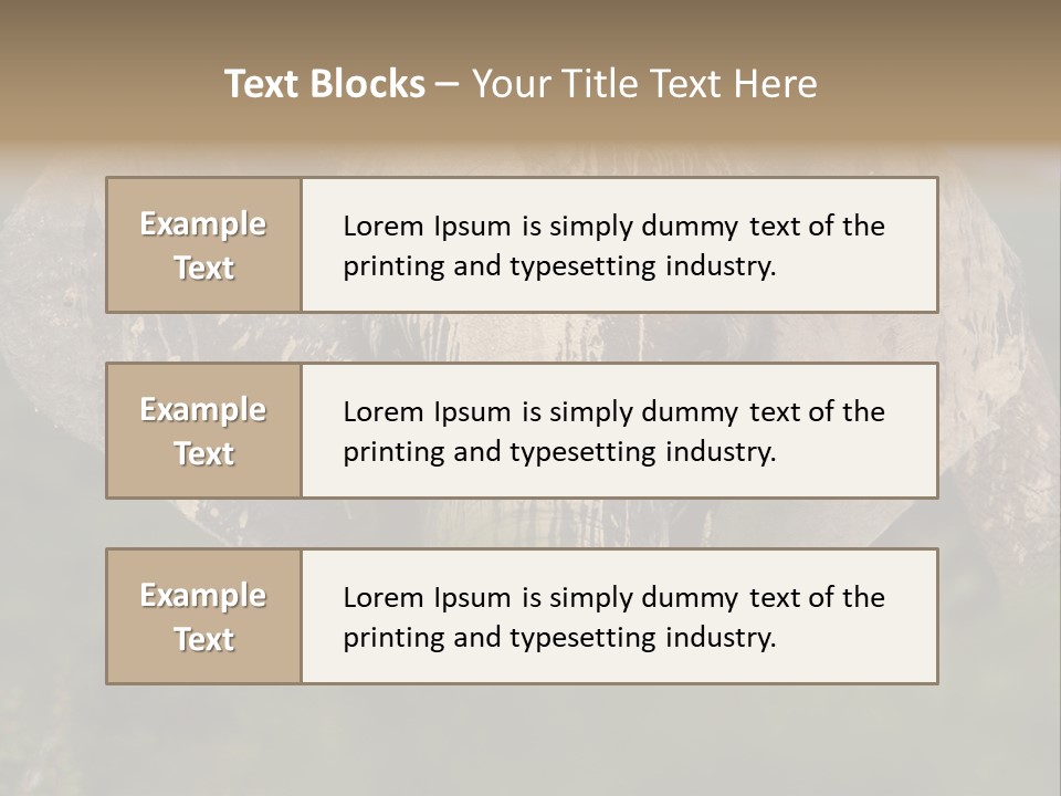 Wise Animal Nature PowerPoint Template