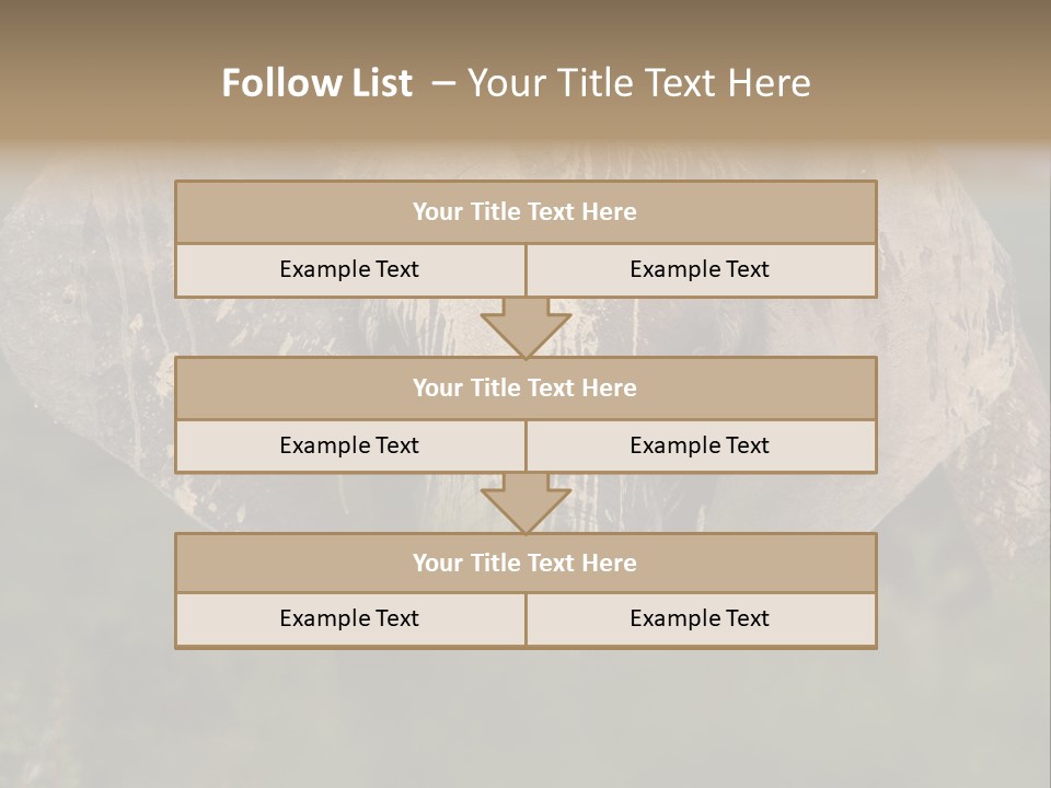 Wise Animal Nature PowerPoint Template