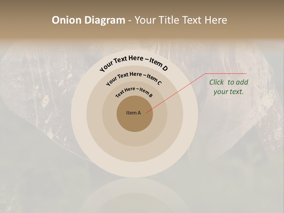 Wise Animal Nature PowerPoint Template