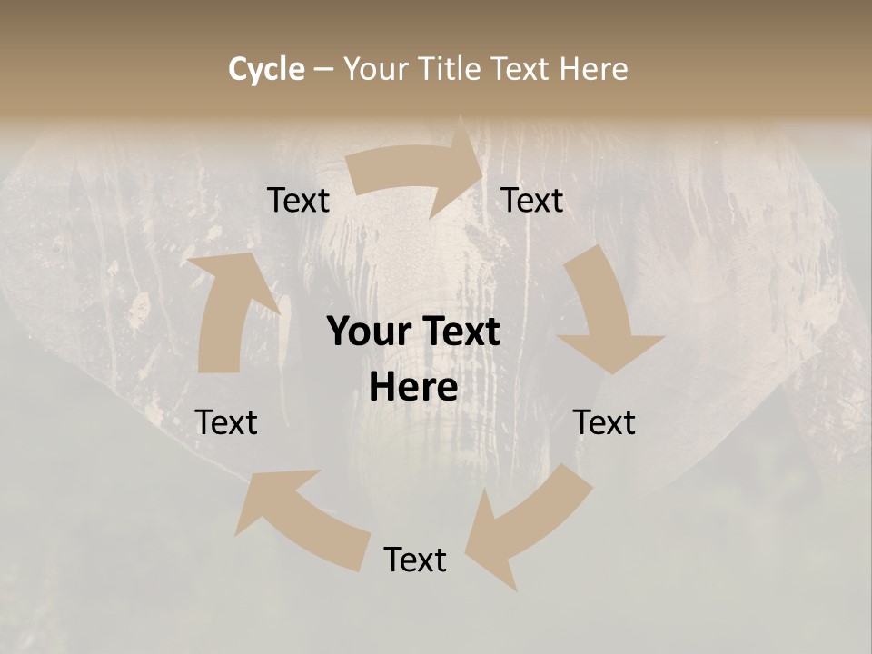 Wise Animal Nature PowerPoint Template