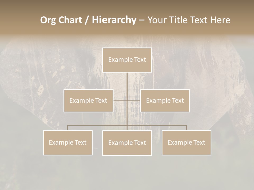 Wise Animal Nature PowerPoint Template