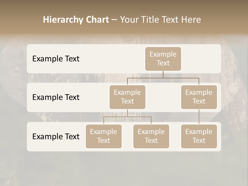 Wise Animal Nature PowerPoint Template