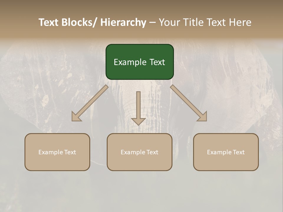 Wise Animal Nature PowerPoint Template