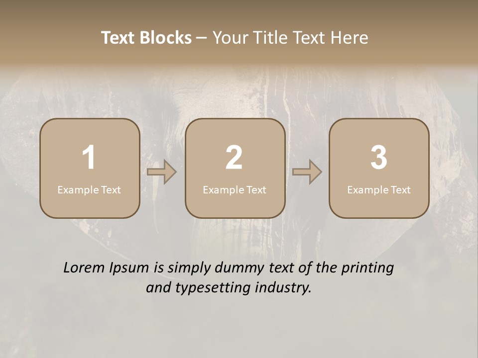 Wise Animal Nature PowerPoint Template