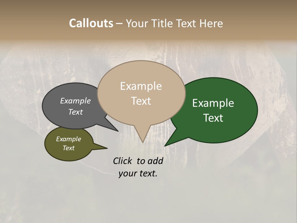 Wise Animal Nature PowerPoint Template