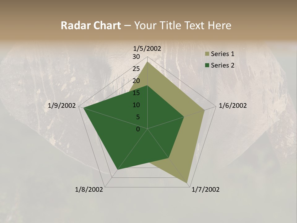 Wise Animal Nature PowerPoint Template