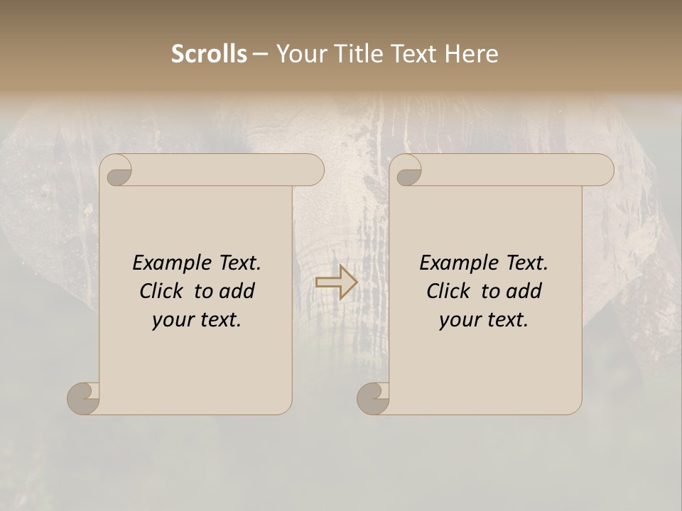 Wise Animal Nature PowerPoint Template
