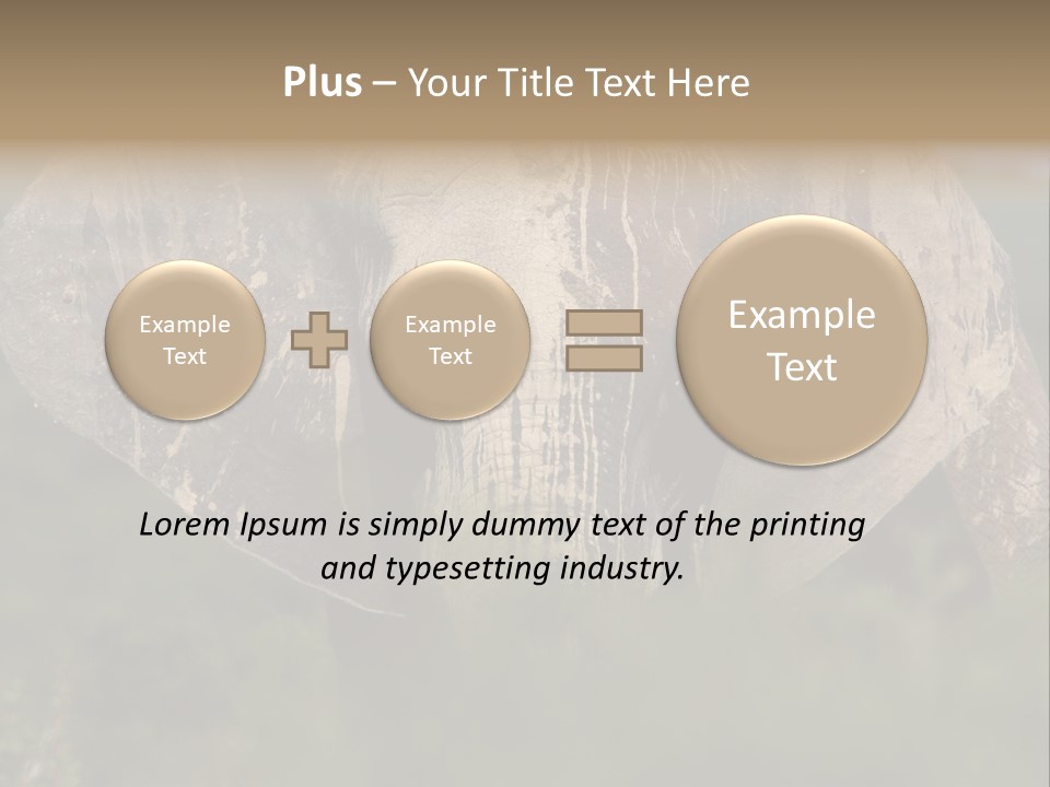 Wise Animal Nature PowerPoint Template