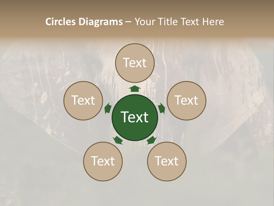 Wise Animal Nature PowerPoint Template