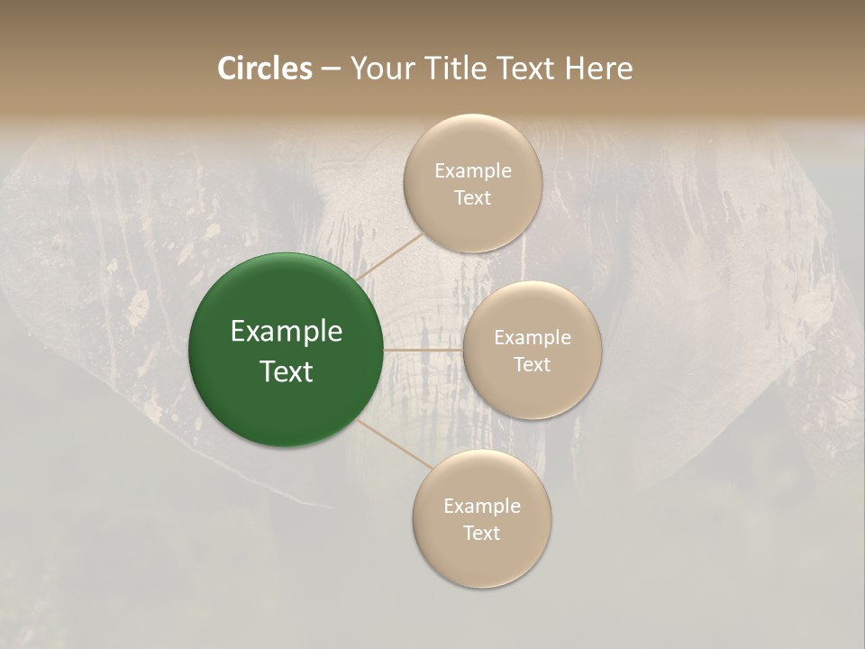 Wise Animal Nature PowerPoint Template