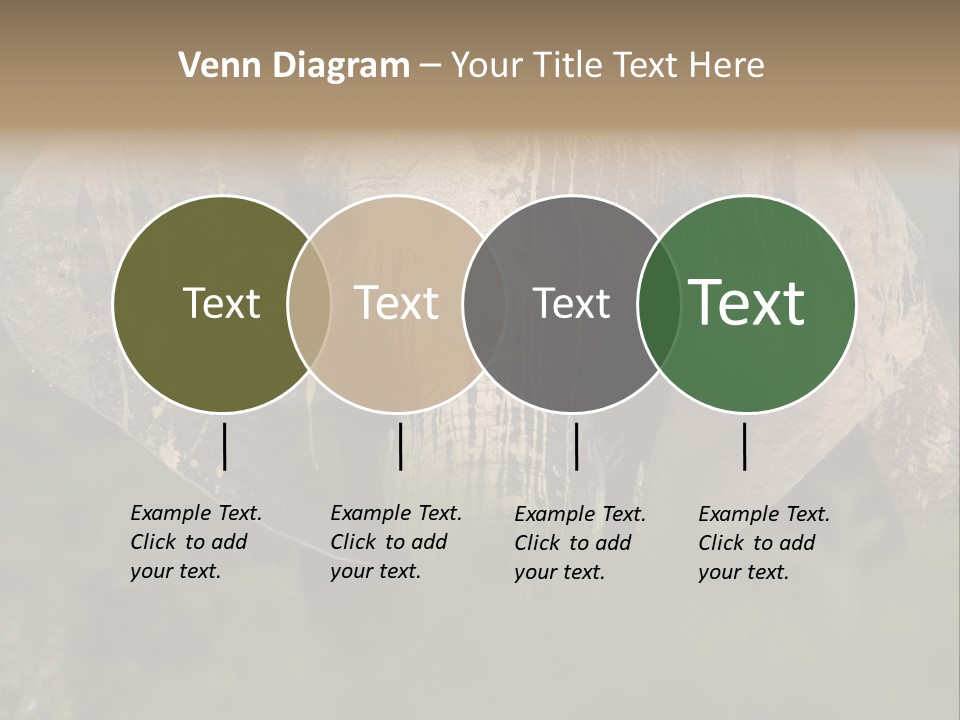 Wise Animal Nature PowerPoint Template