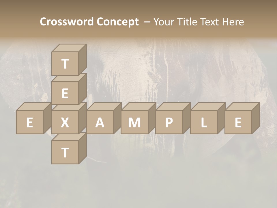 Wise Animal Nature PowerPoint Template