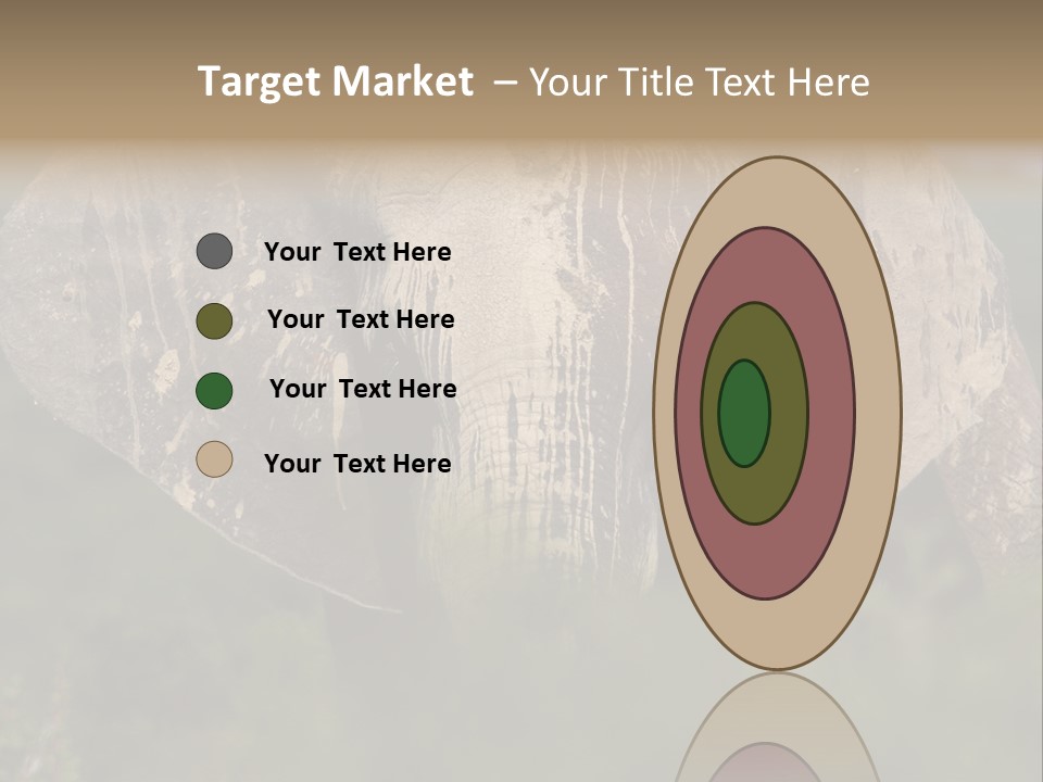 Wise Animal Nature PowerPoint Template