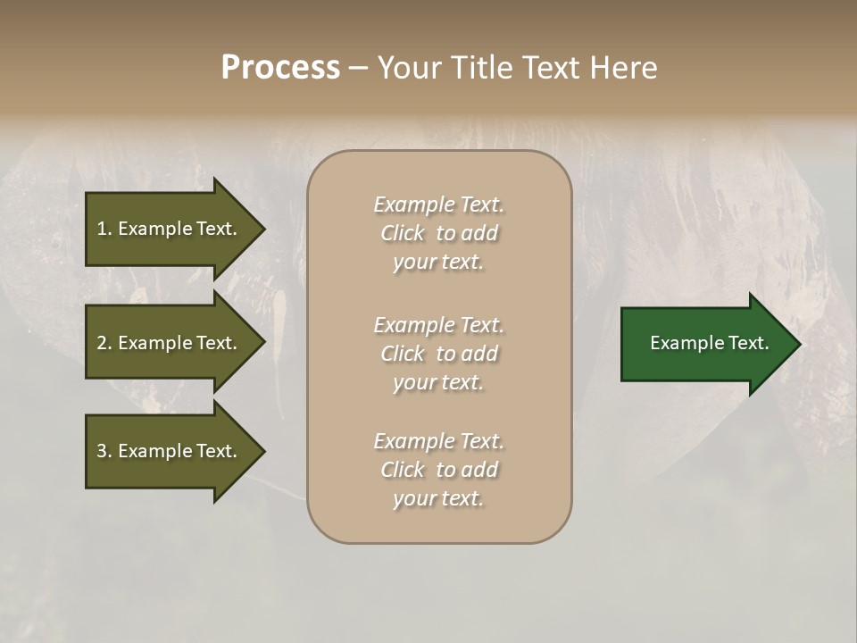 Wise Animal Nature PowerPoint Template