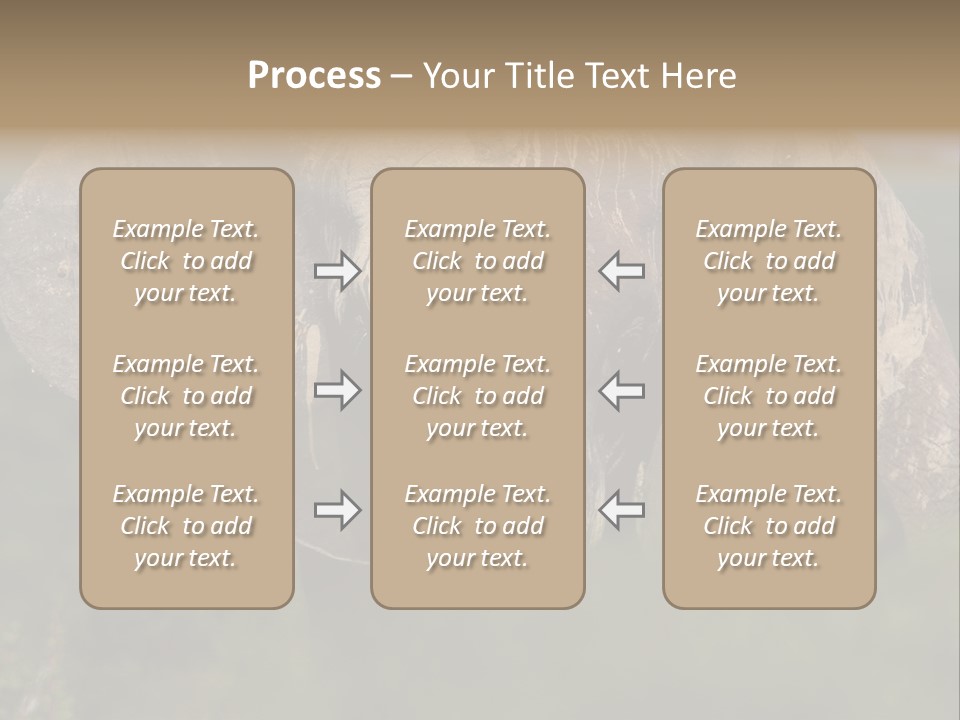 Wise Animal Nature PowerPoint Template