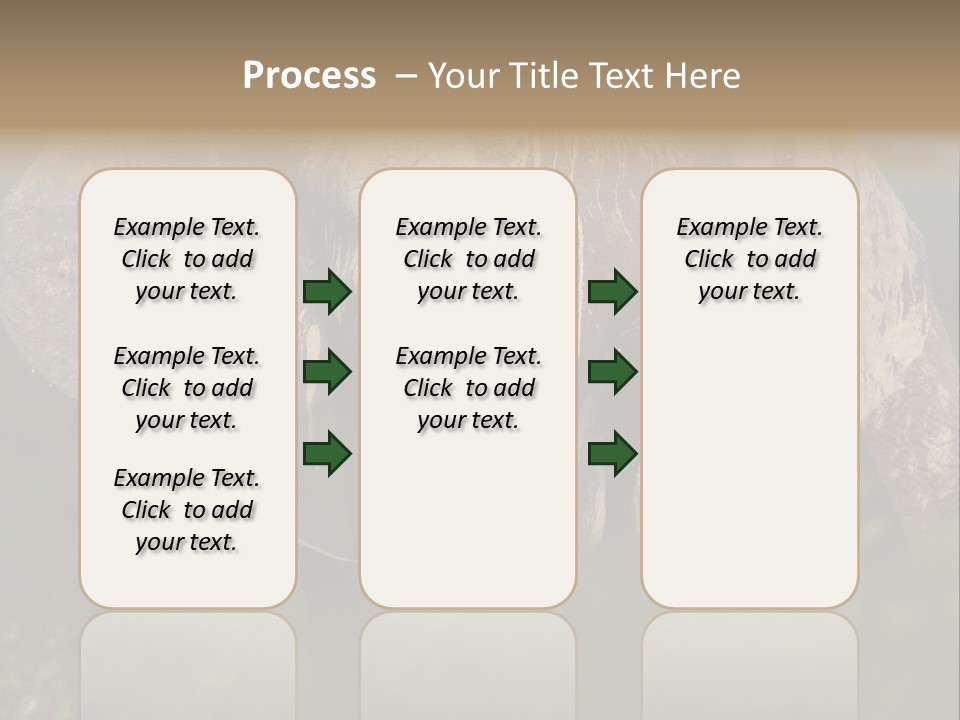 Wise Animal Nature PowerPoint Template