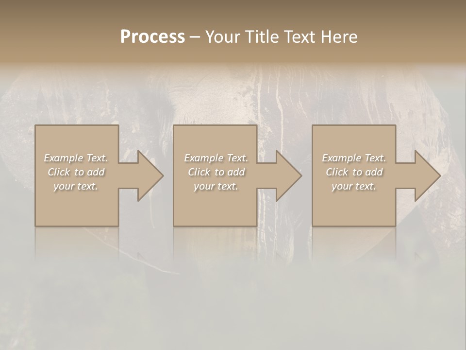 Wise Animal Nature PowerPoint Template