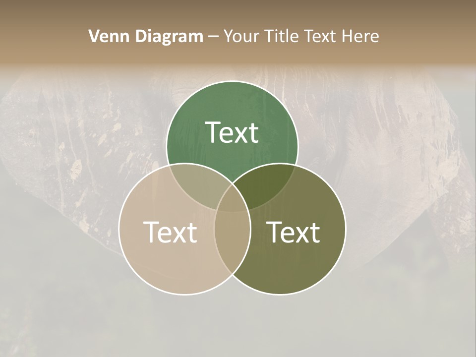 Wise Animal Nature PowerPoint Template