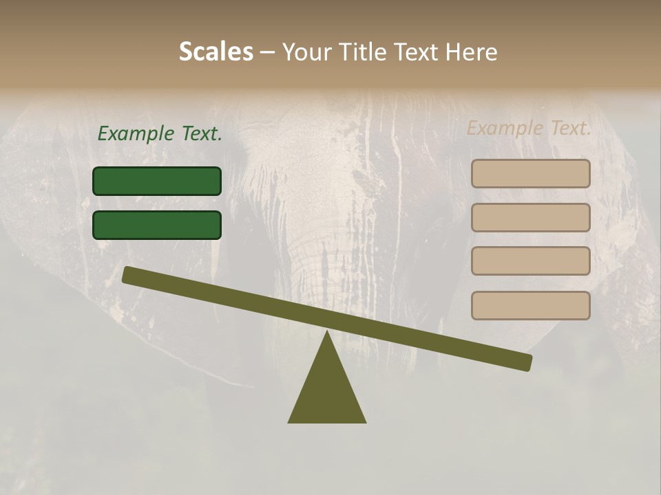 Wise Animal Nature PowerPoint Template