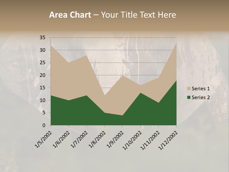 Wise Animal Nature PowerPoint Template