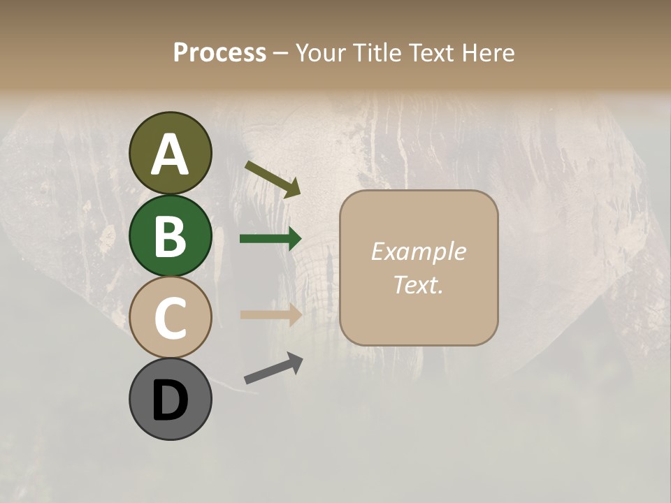 Wise Animal Nature PowerPoint Template