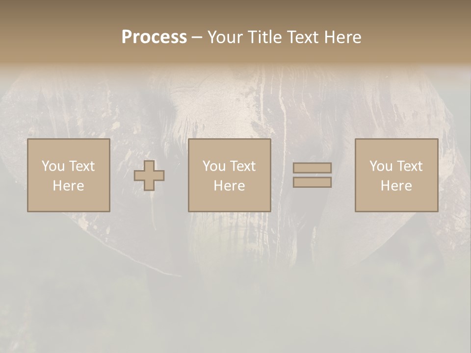 Wise Animal Nature PowerPoint Template