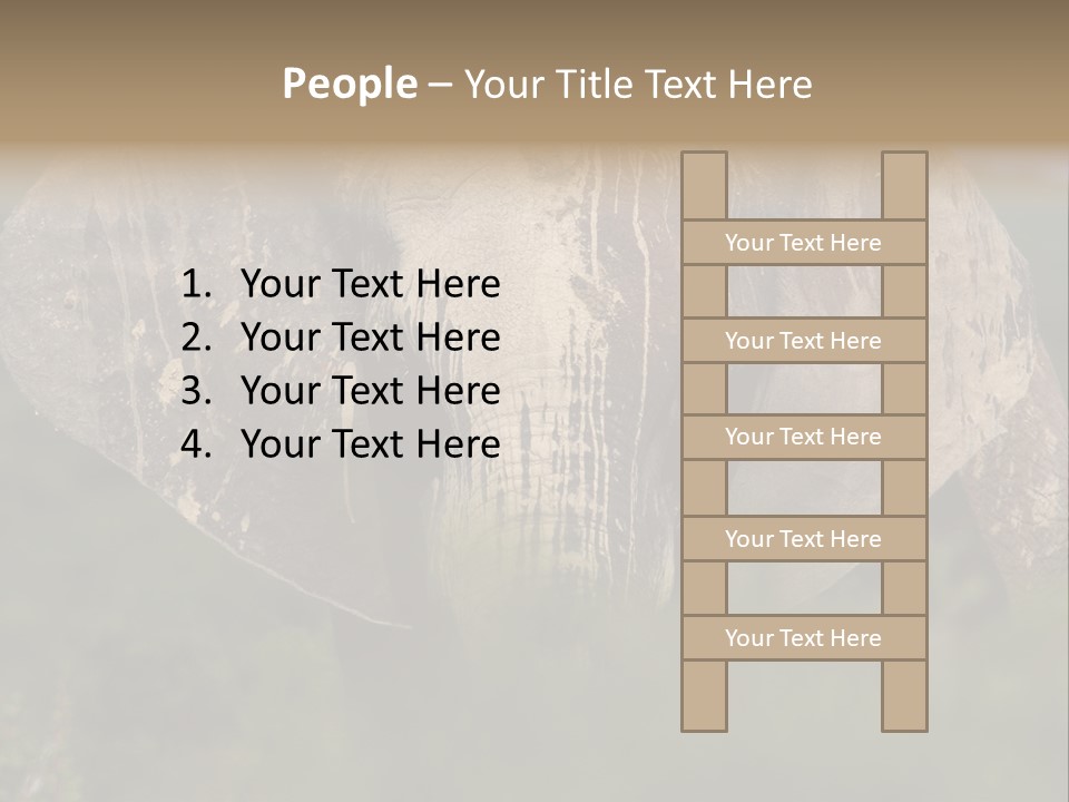 Wise Animal Nature PowerPoint Template