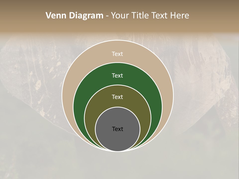 Wise Animal Nature PowerPoint Template