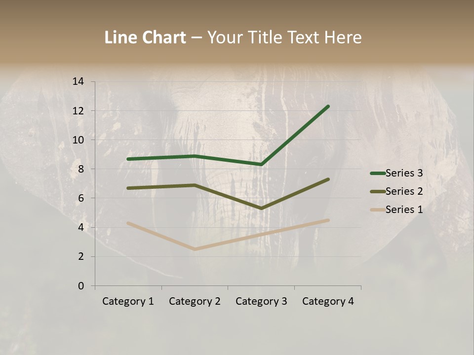 Wise Animal Nature PowerPoint Template
