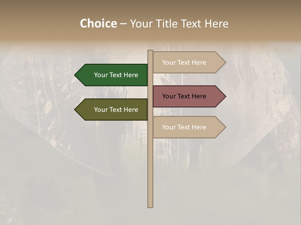 Wise Animal Nature PowerPoint Template