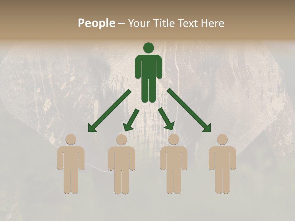 Wise Animal Nature PowerPoint Template