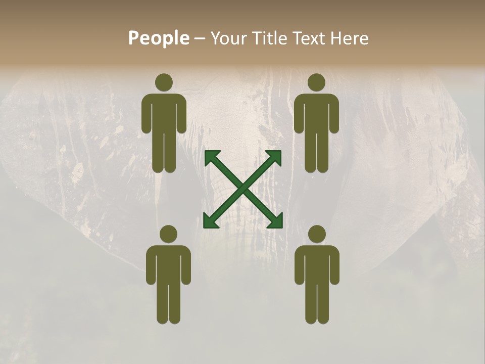 Wise Animal Nature PowerPoint Template