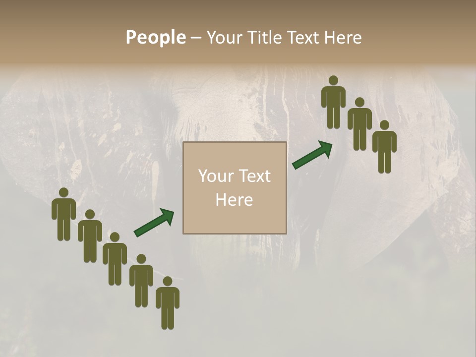 Wise Animal Nature PowerPoint Template