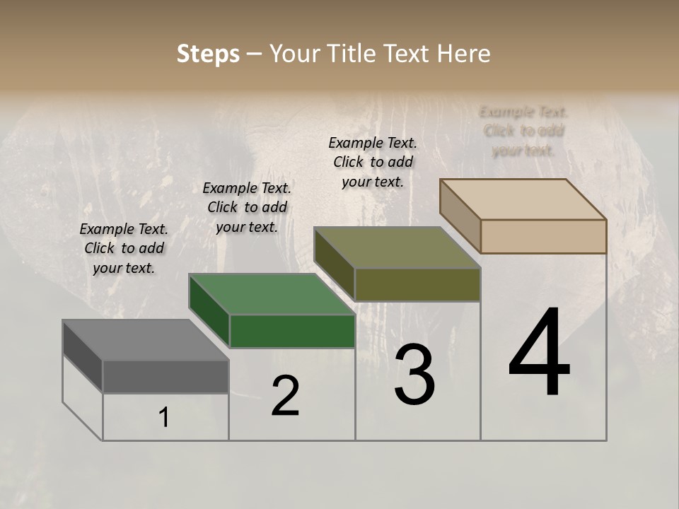 Wise Animal Nature PowerPoint Template