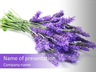 Therapeutic Design Gardening PowerPoint Template