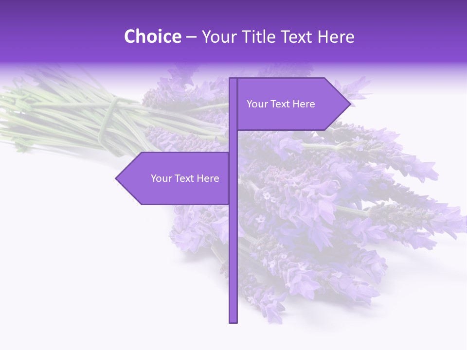 Therapeutic Design Gardening PowerPoint Template