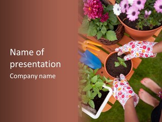 Potting Botany Dirt PowerPoint Template