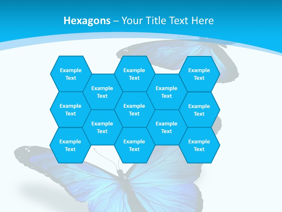 Two White Summer PowerPoint Template