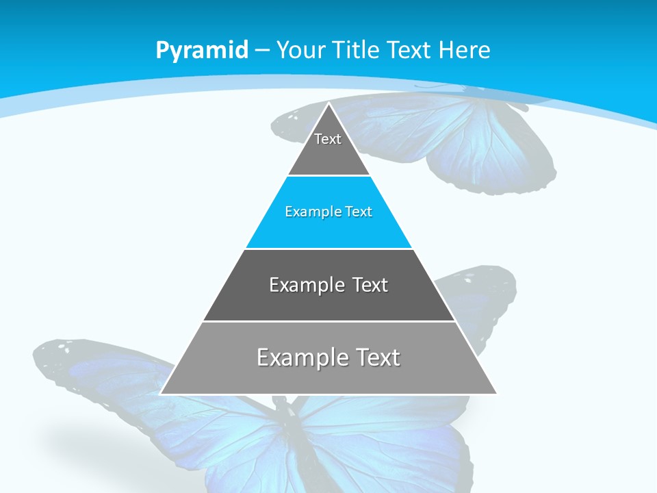 Two White Summer PowerPoint Template