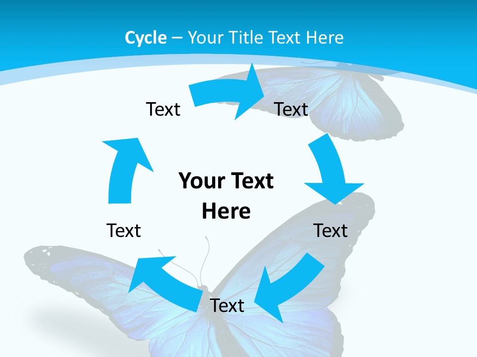 Two White Summer PowerPoint Template