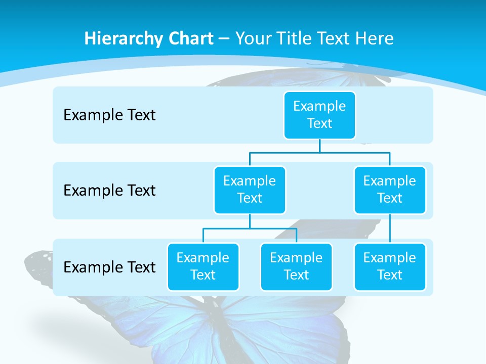 Two White Summer PowerPoint Template
