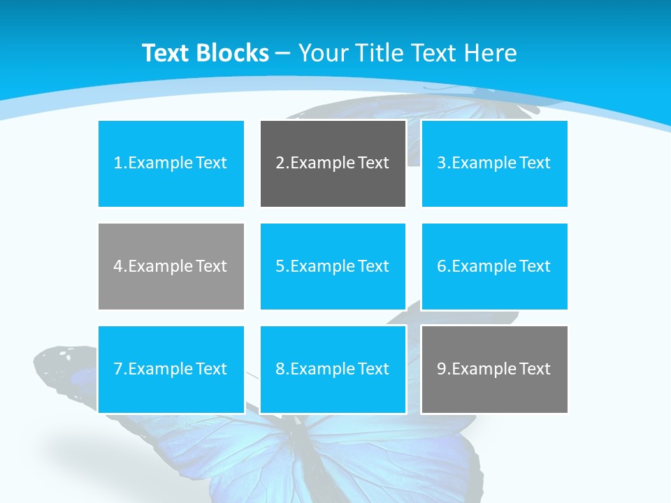 Two White Summer PowerPoint Template