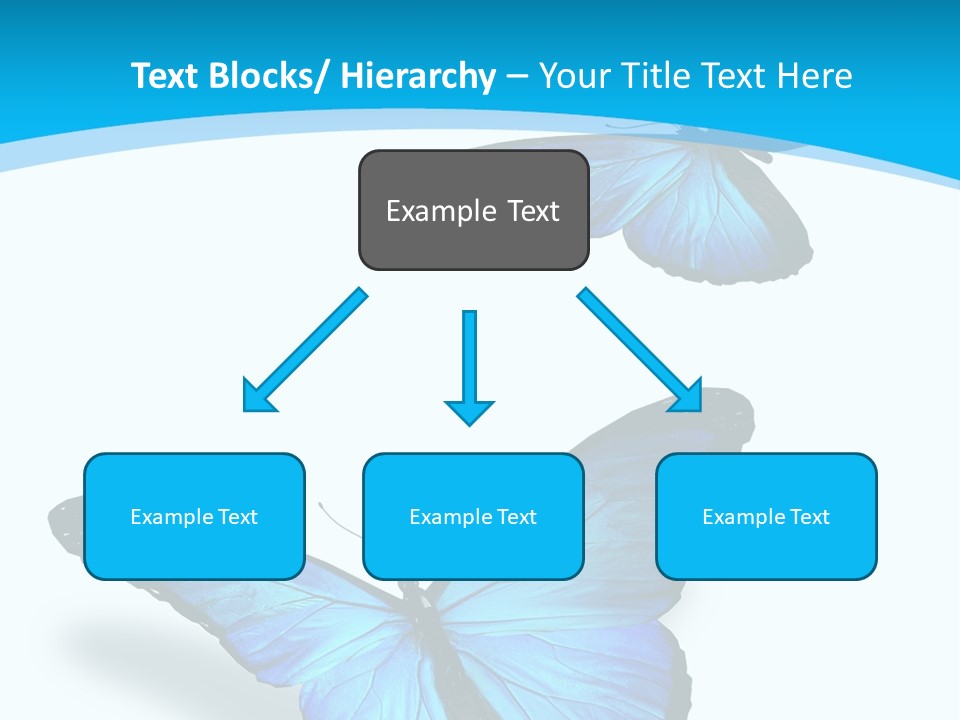 Two White Summer PowerPoint Template