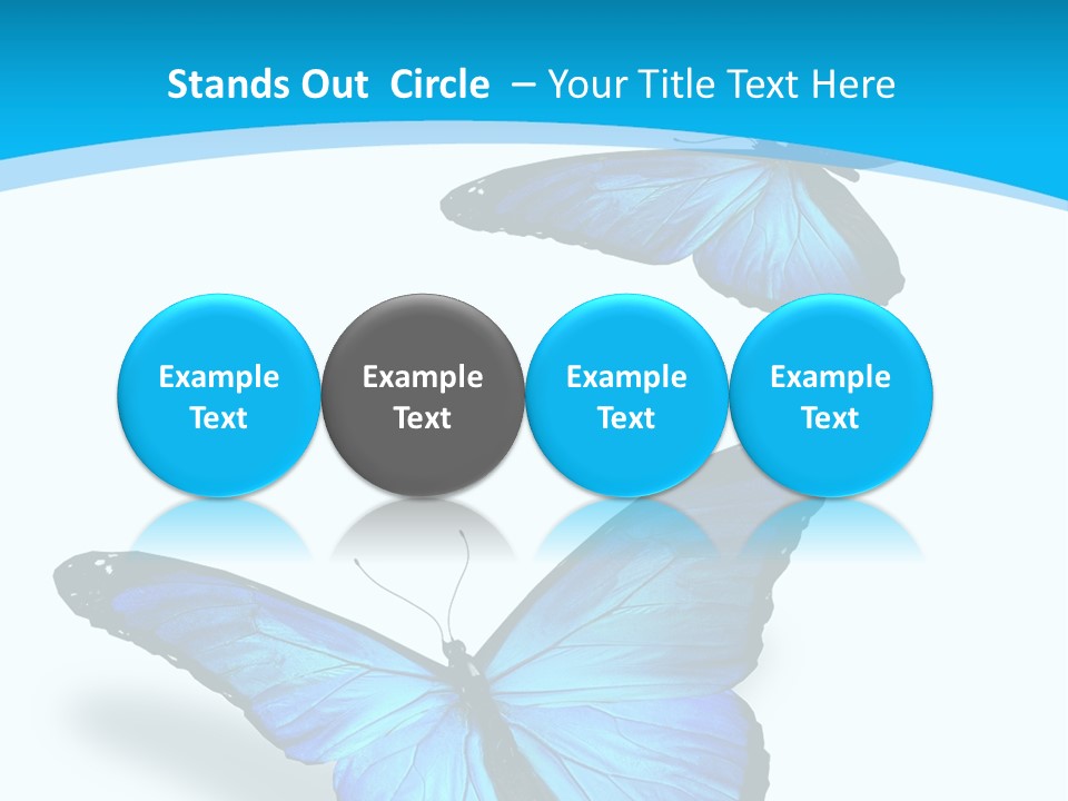 Two White Summer PowerPoint Template