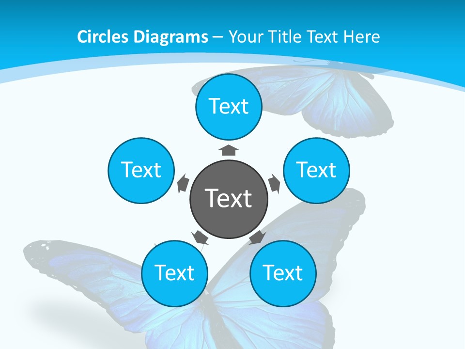 Two White Summer PowerPoint Template