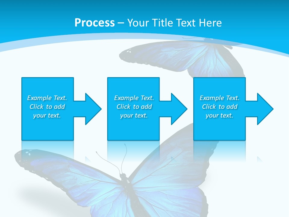 Two White Summer PowerPoint Template