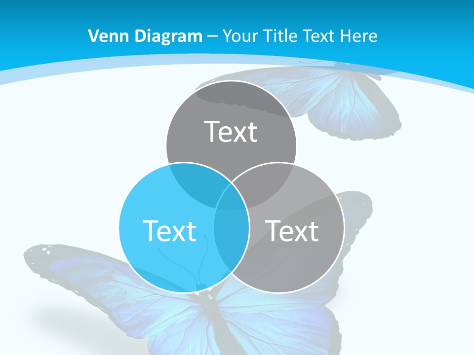 Two White Summer PowerPoint Template